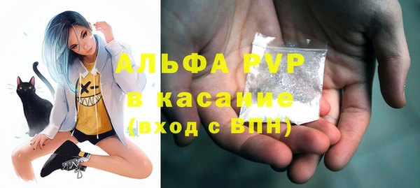 ECSTASY Алзамай
