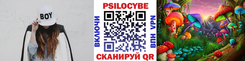 Псилоцибиновые грибы GOLDEN TEACHER  Бабушкин 