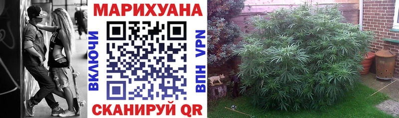 Шишки марихуана MAZAR  Бабушкин 